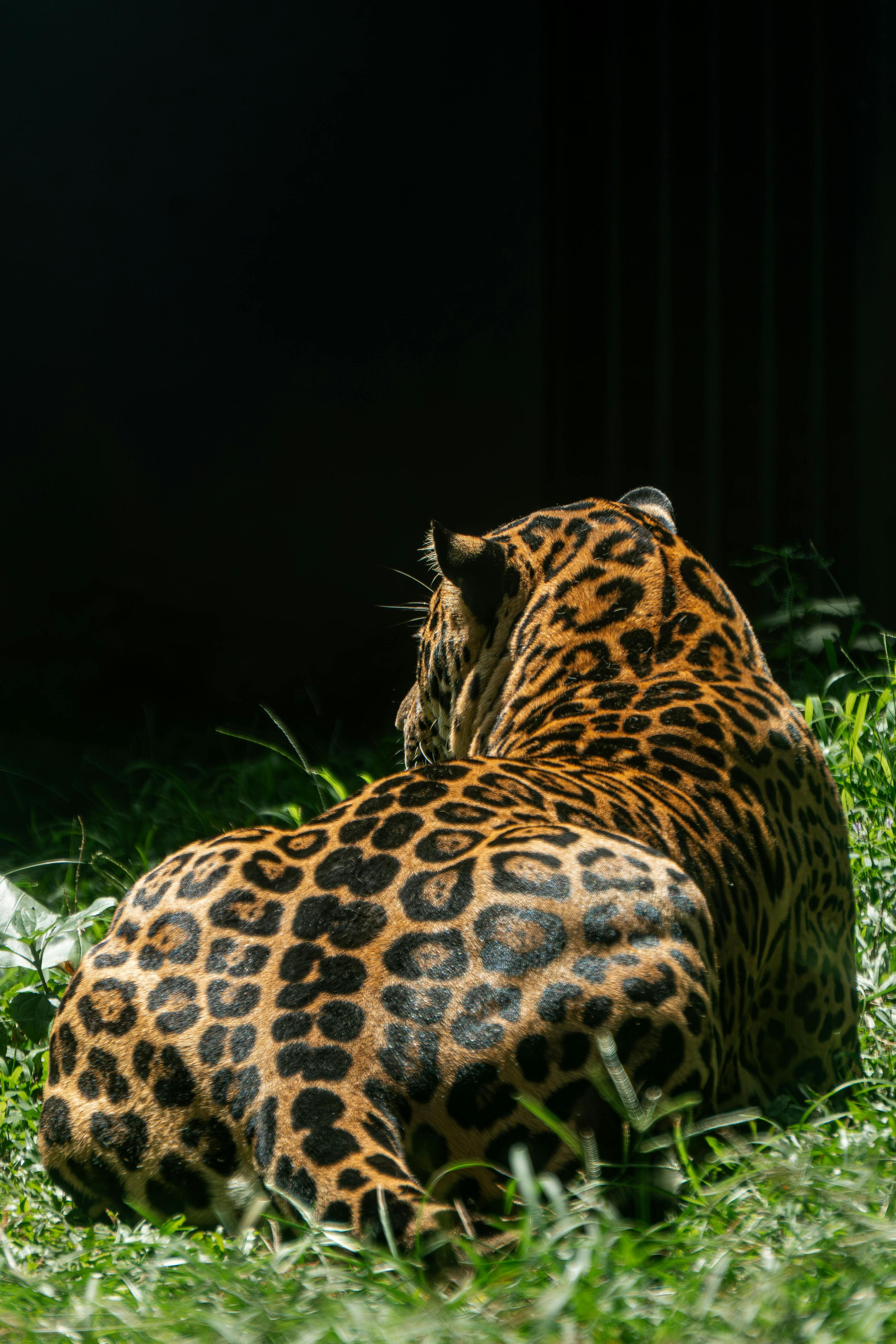 Wilpattu Lakeside Expedition image 2