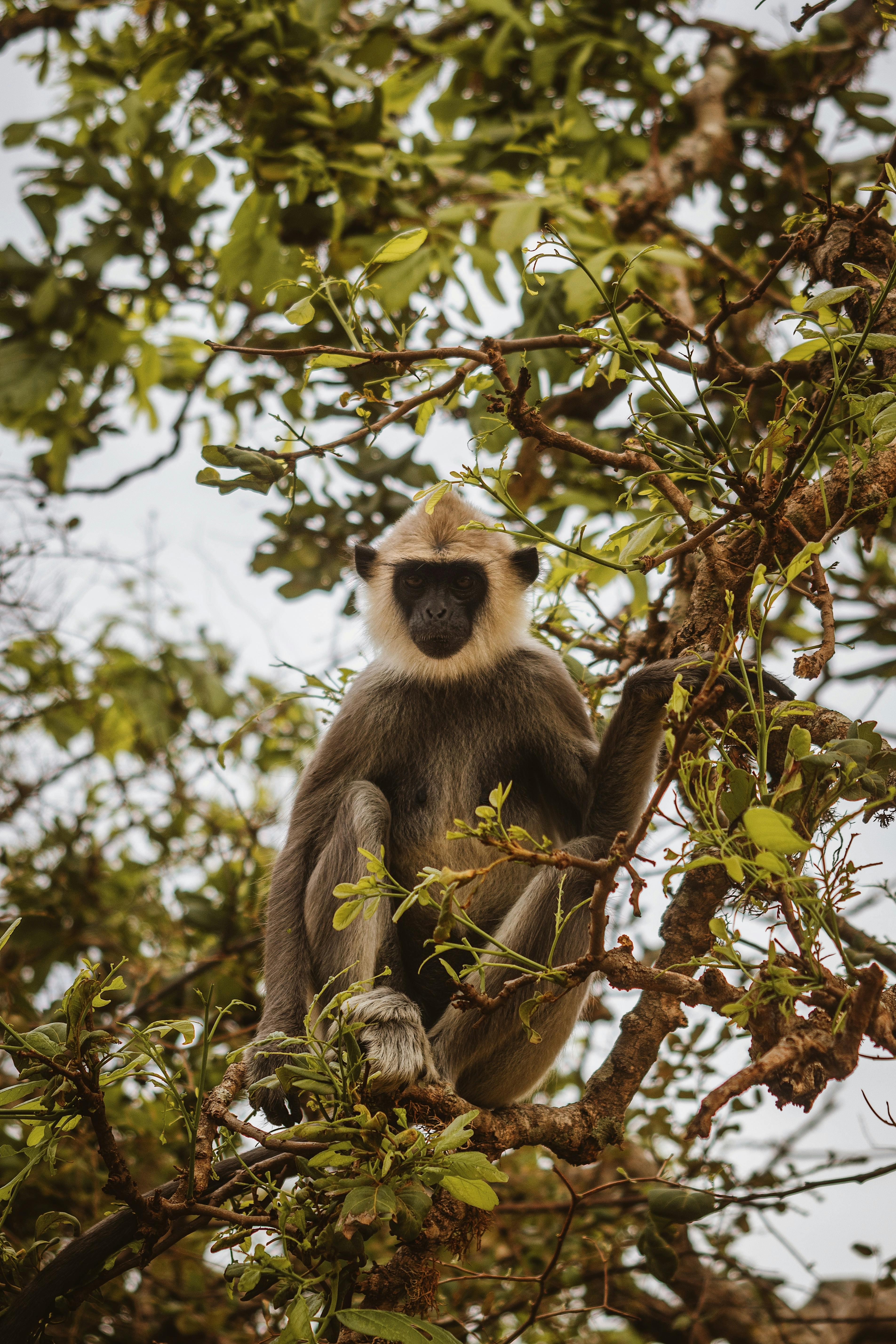 Wilpattu National Park